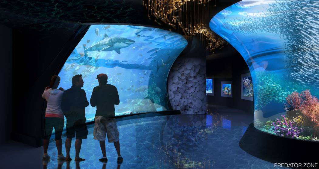 The Predator Zone presented with a wide variety of outstanding fish tanks under the experienced aquarium design concept